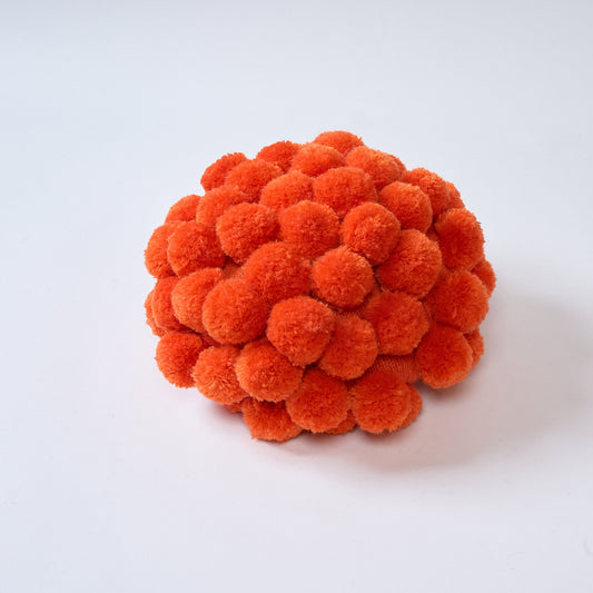 Pompom cap