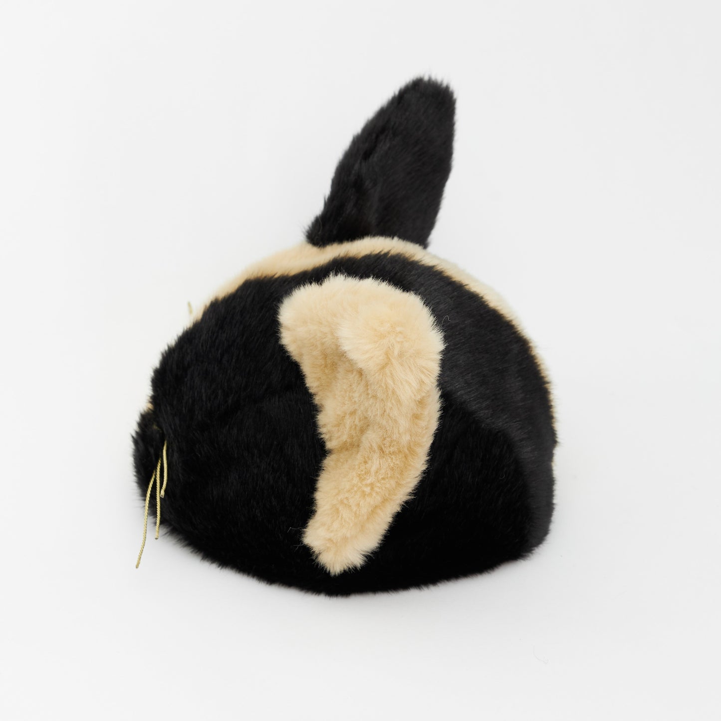 シピHAT '24