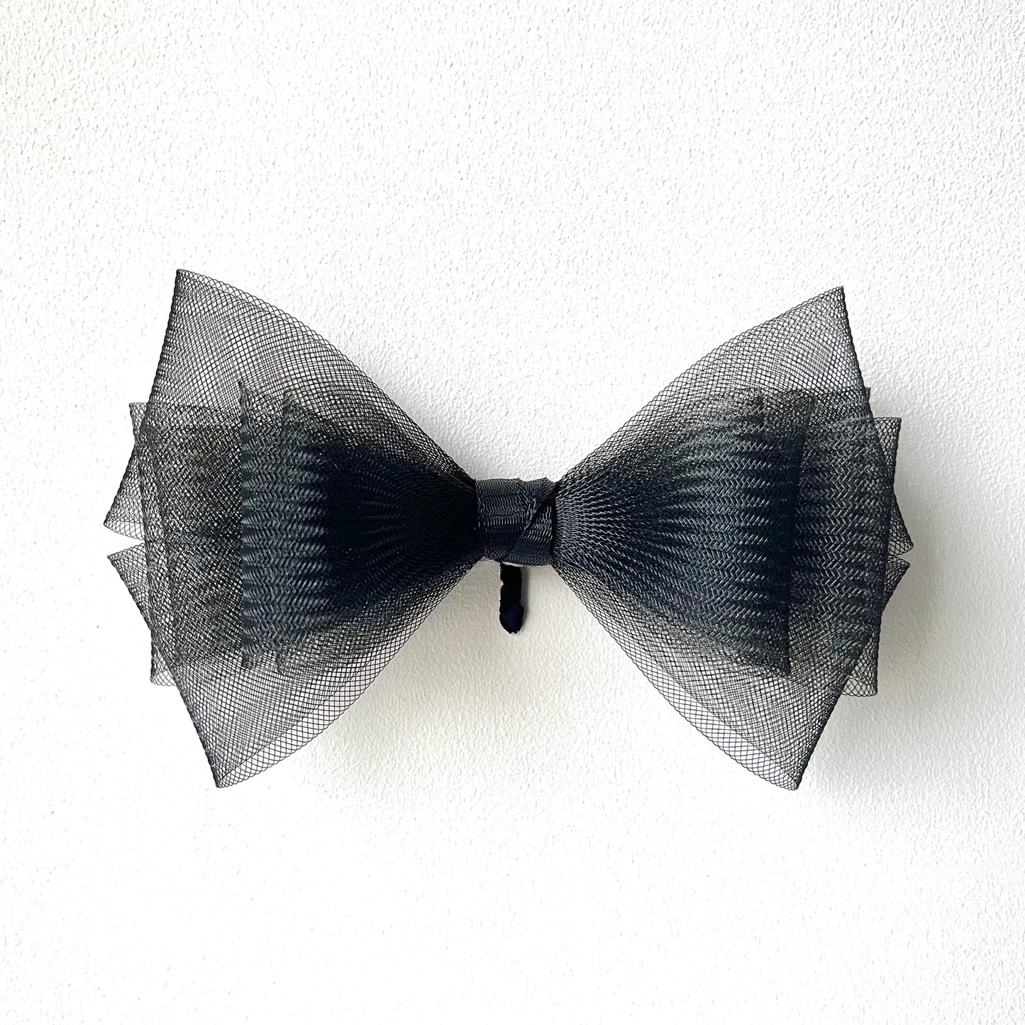 Bird wing Butterfly