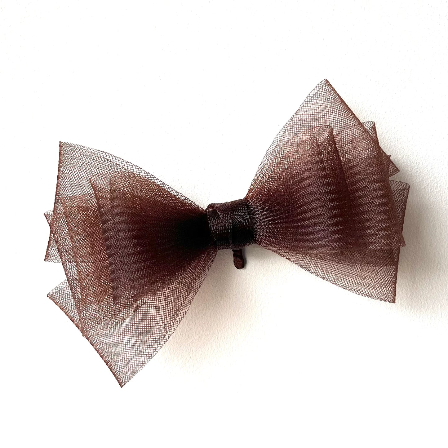 Bird wing Butterfly