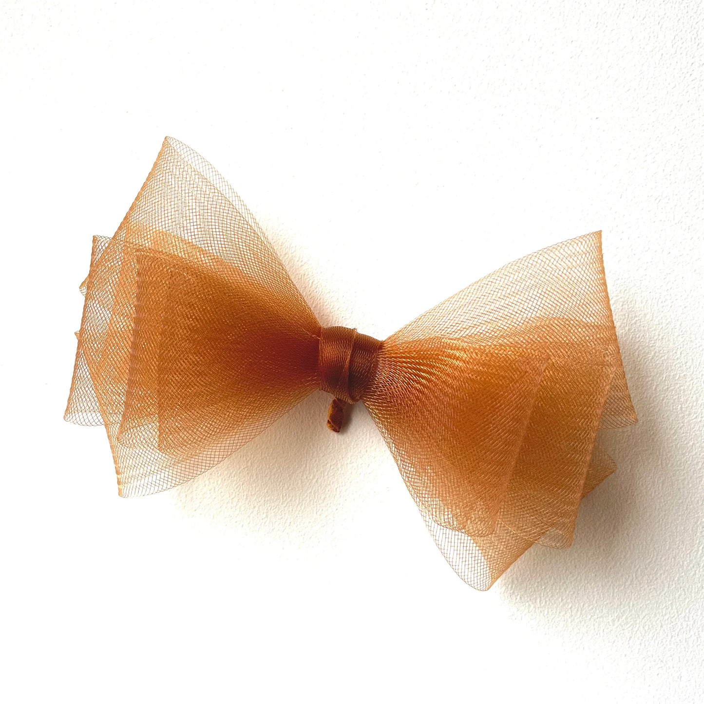 Bird wing Butterfly