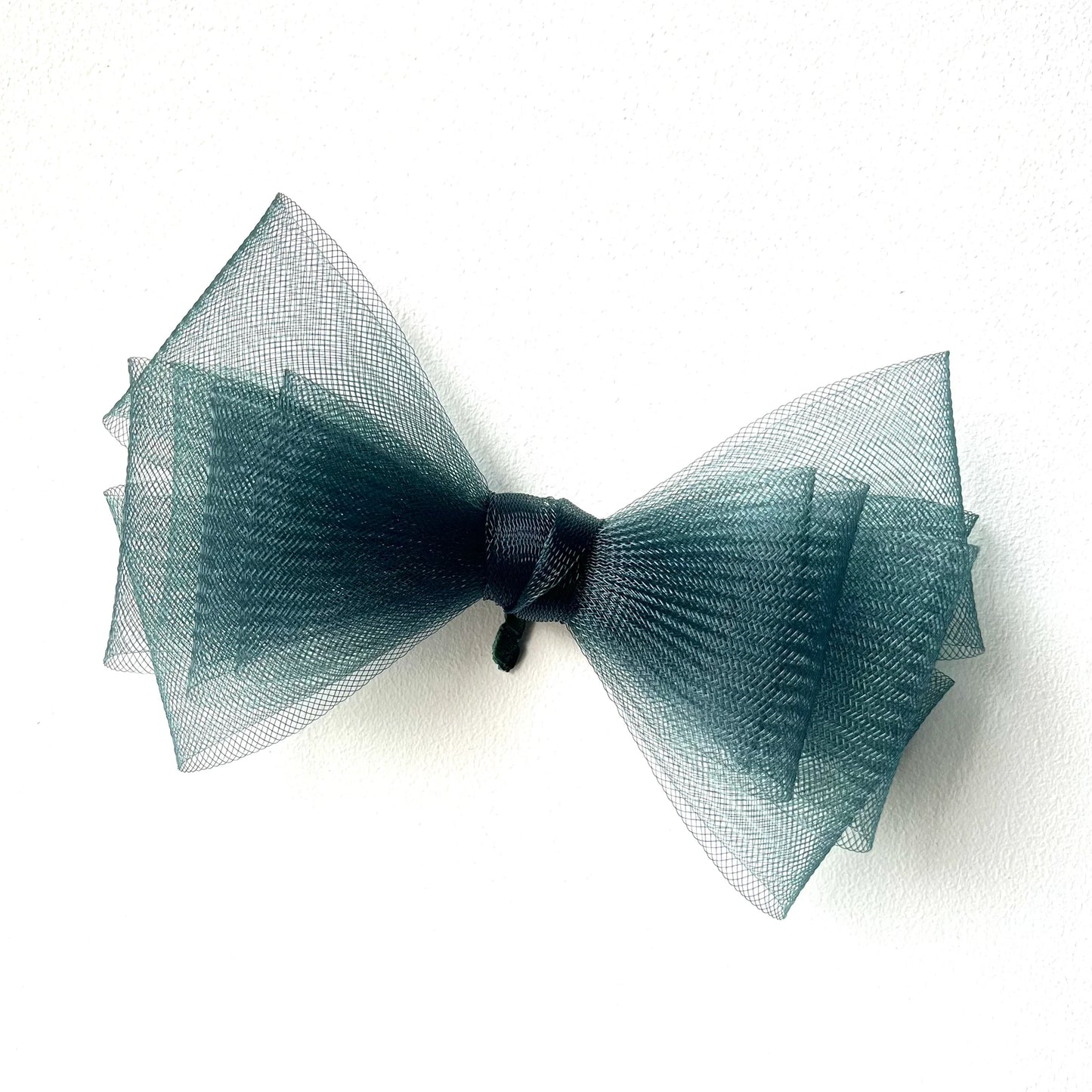 Bird wing Butterfly