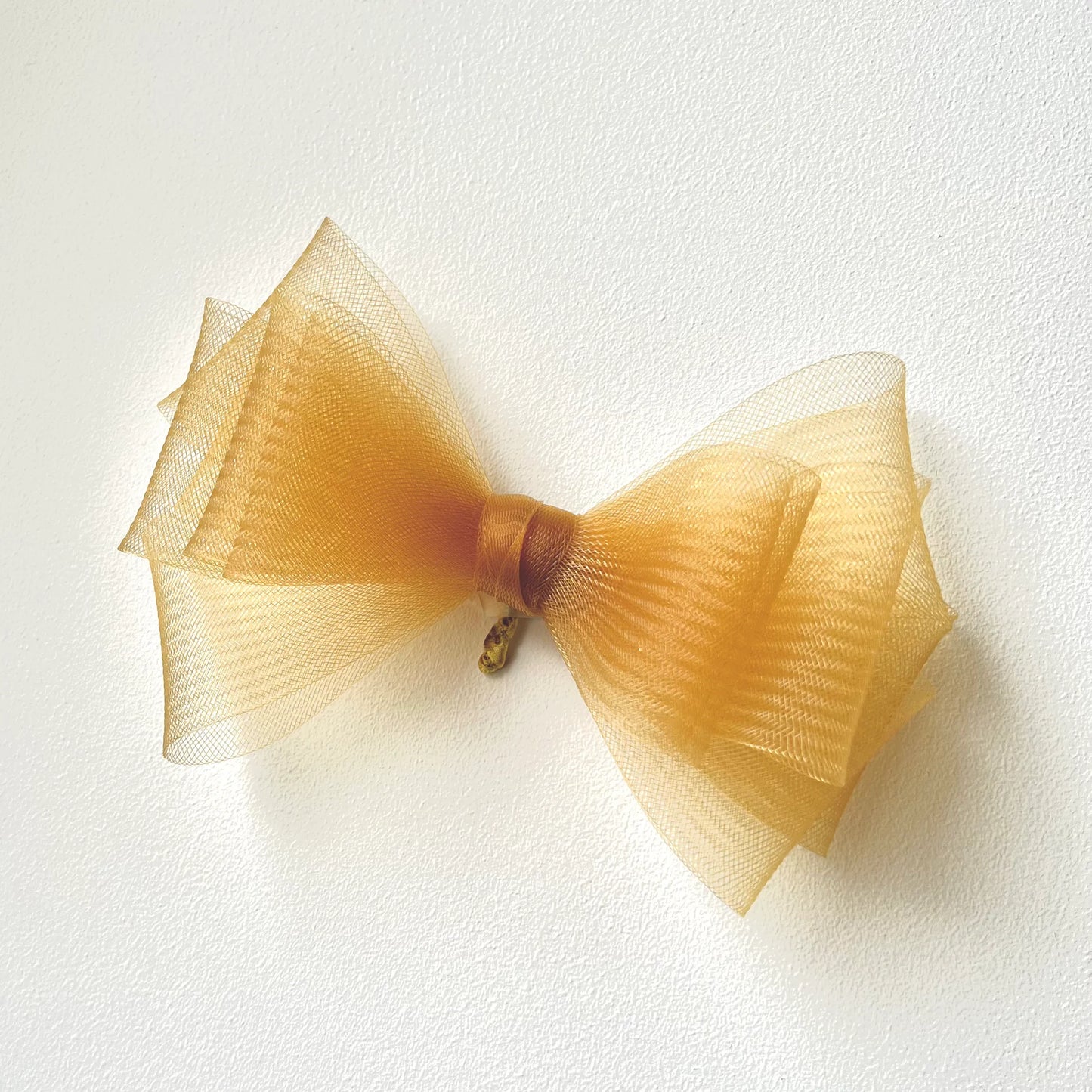 Bird wing Butterfly