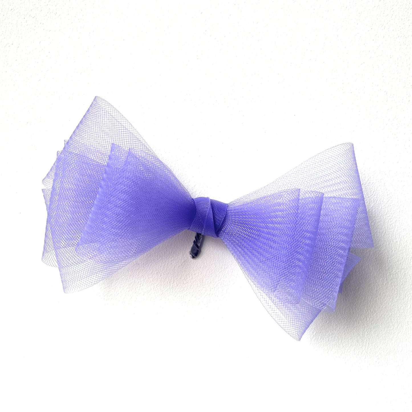 Bird wing Butterfly