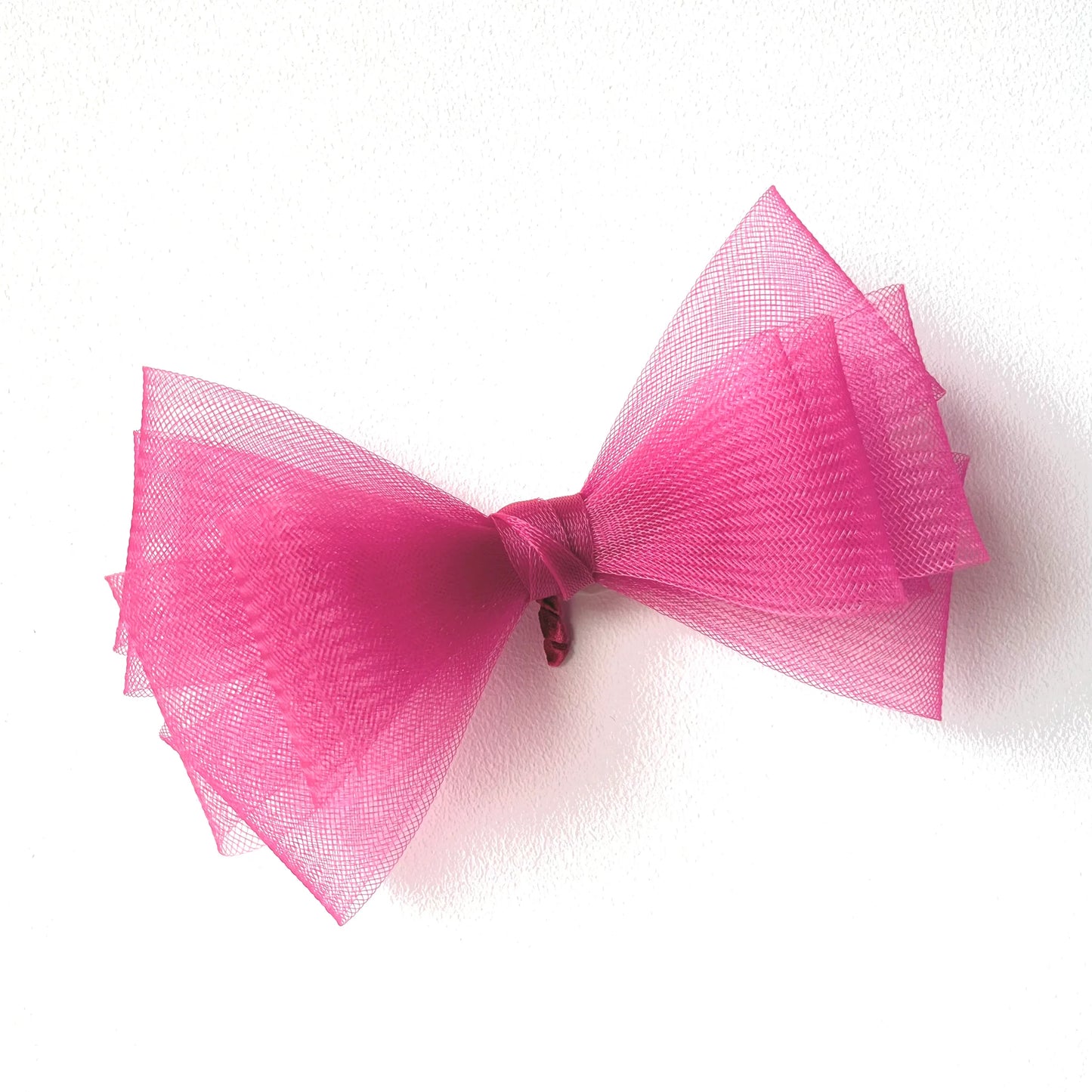 Bird wing Butterfly