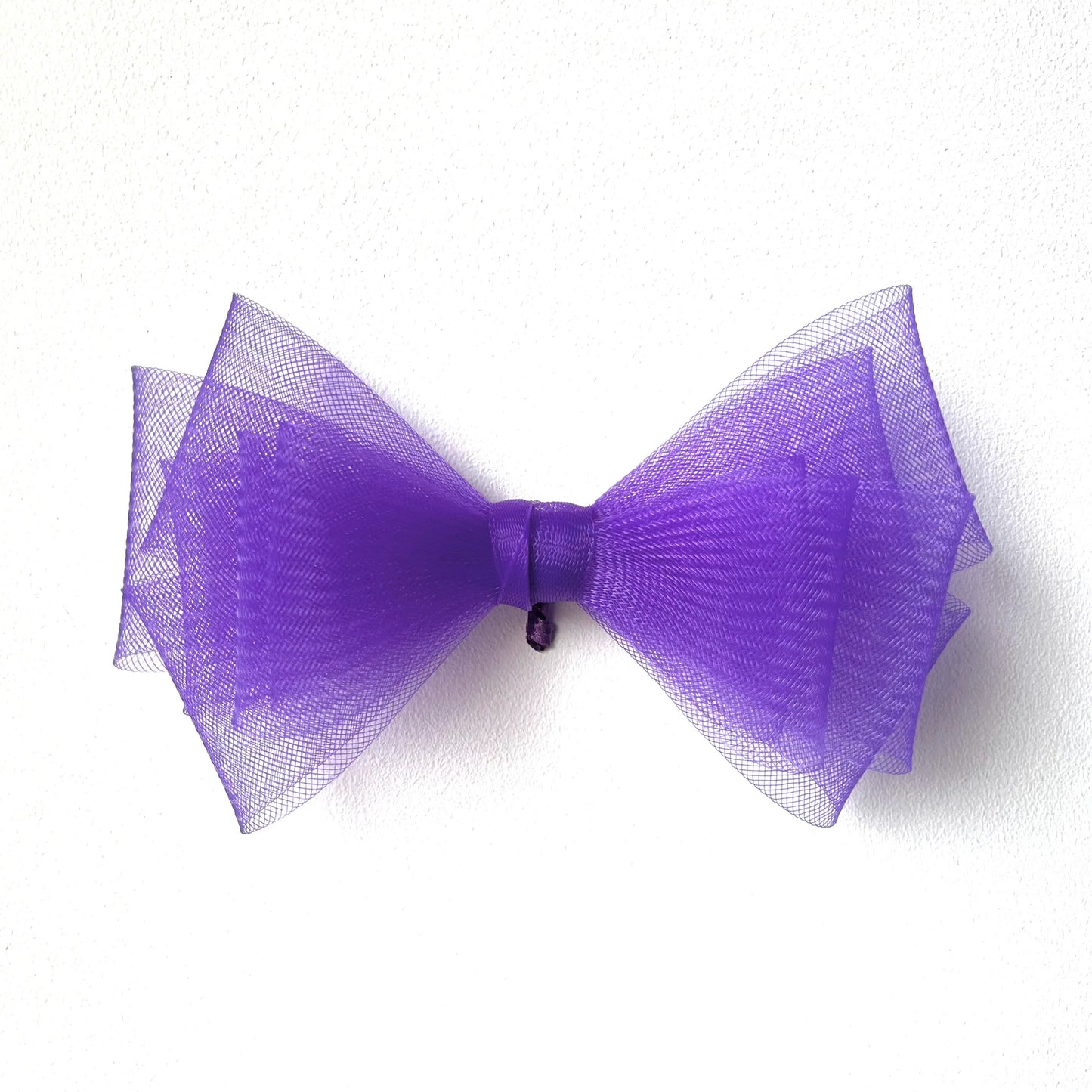 Bird wing Butterfly