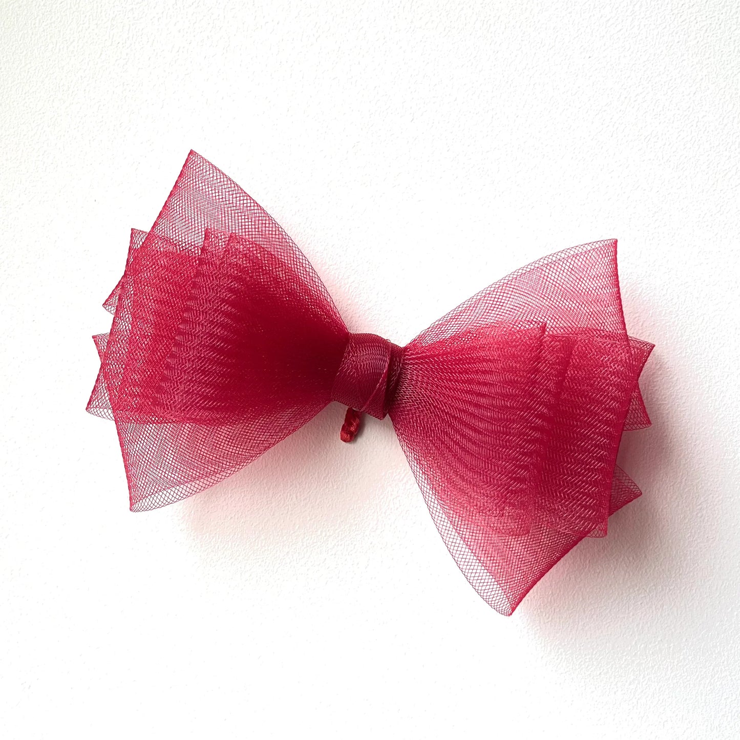 Bird wing Butterfly